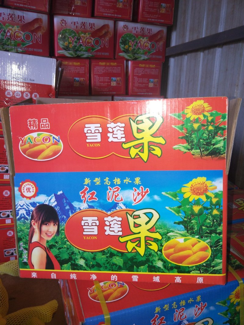 雪莲果大果中果圆果，