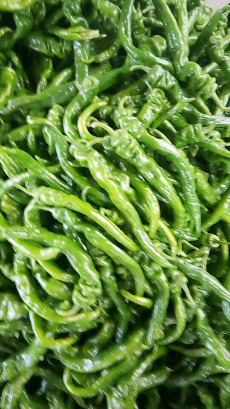 中螺丝，大尖椒，大螺丝，小螺丝