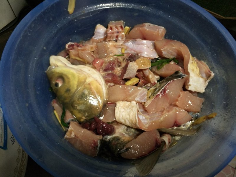 野生草鱼花鲢鲤鱼鲫鱼