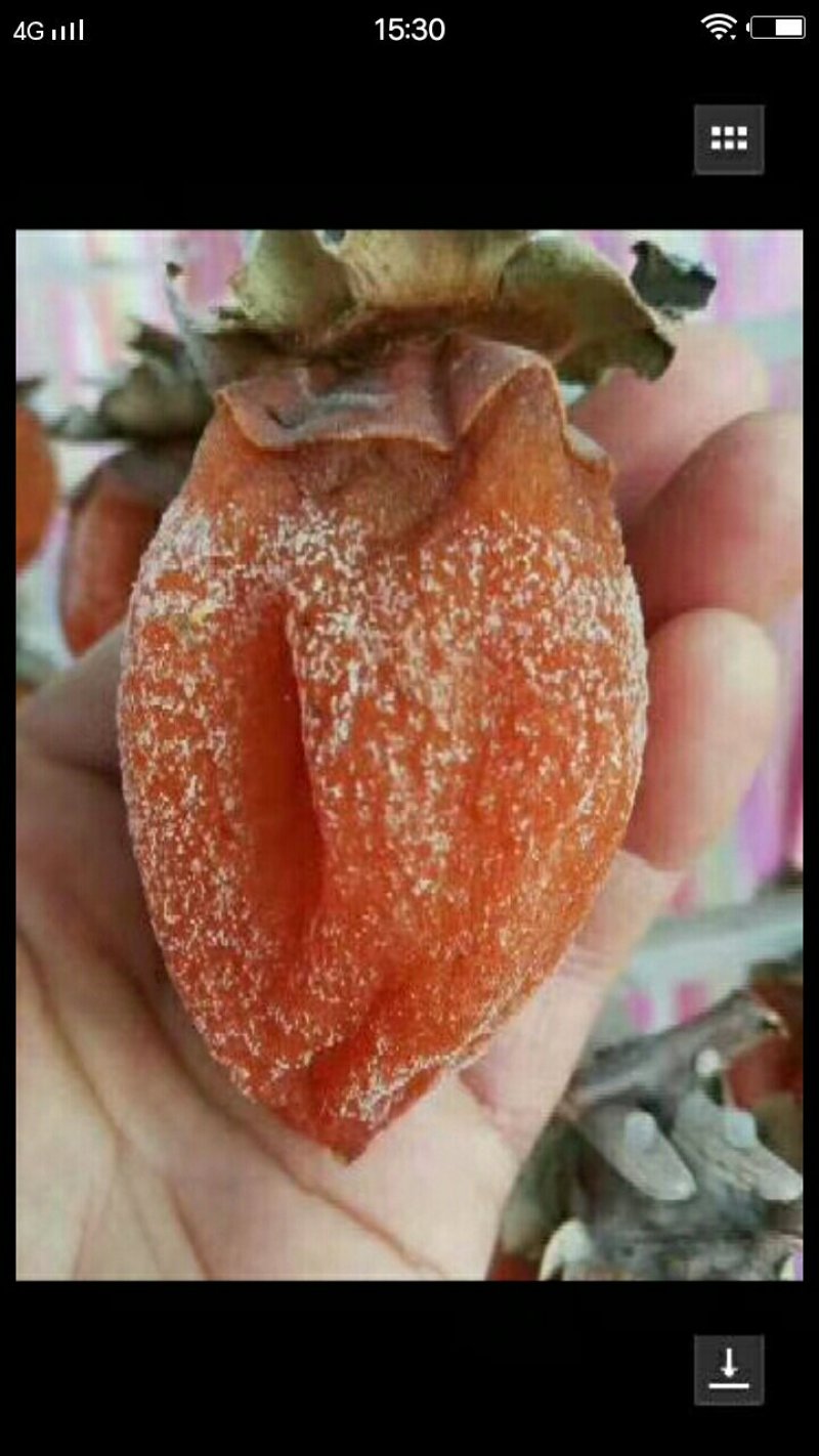 柿饼