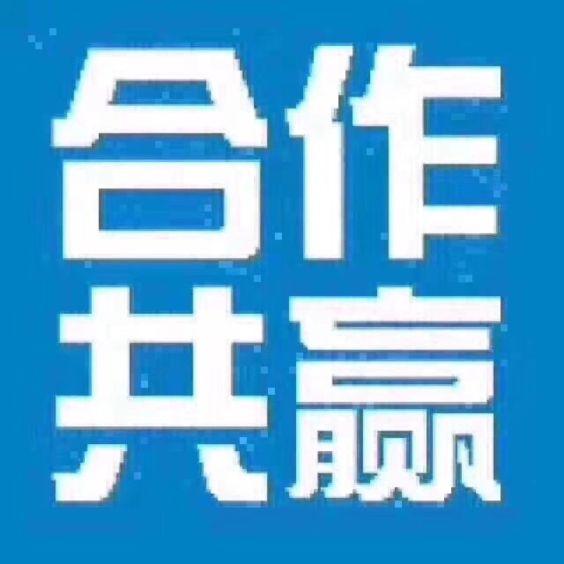 精品苦菊