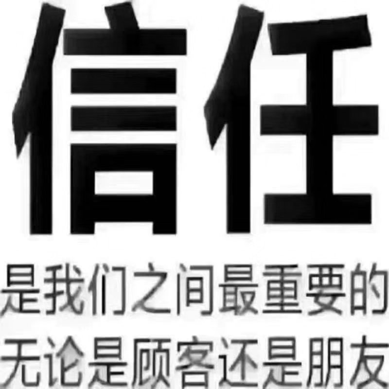 精品苦菊