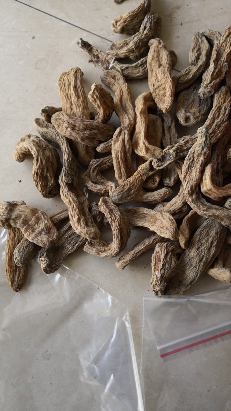 天麻