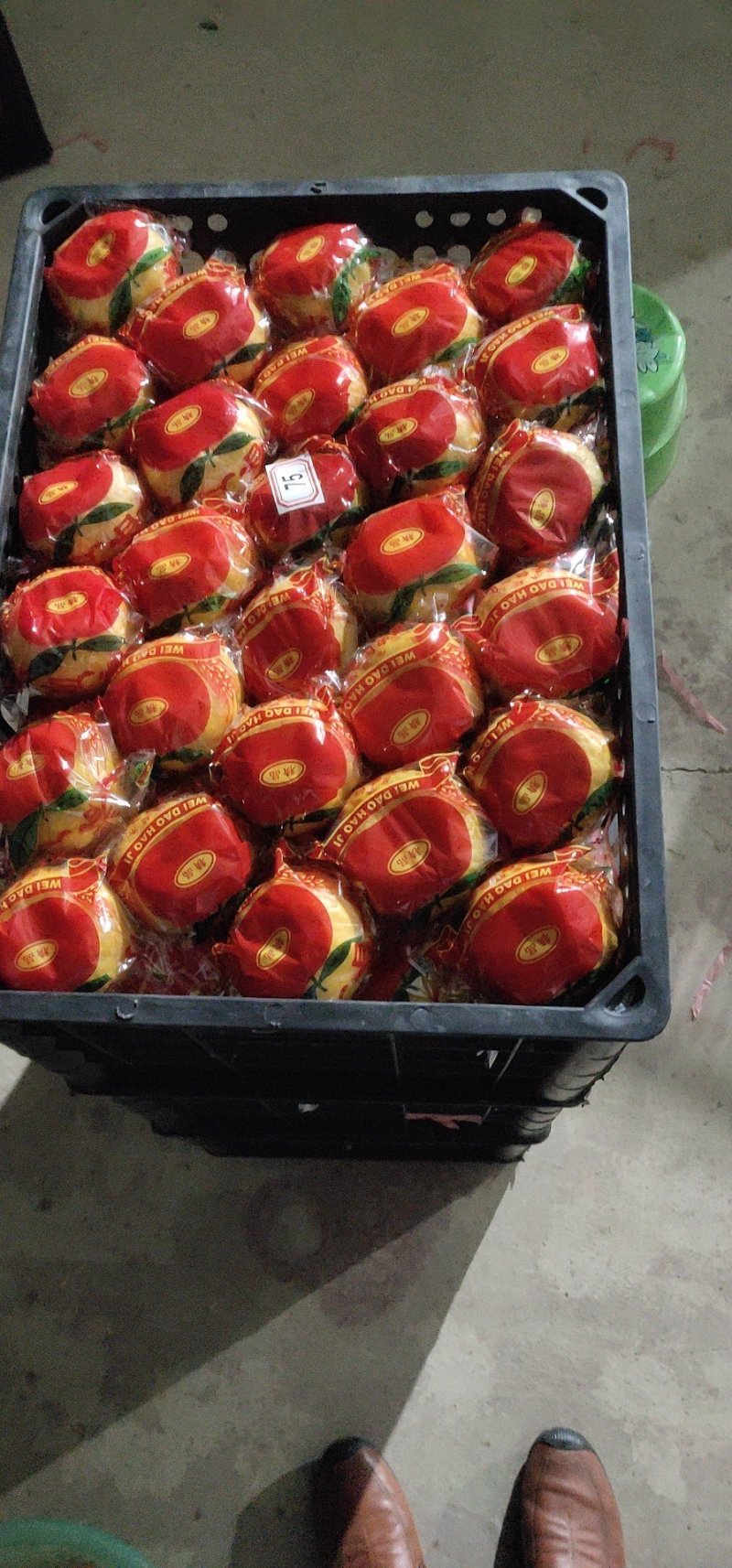 芦柑