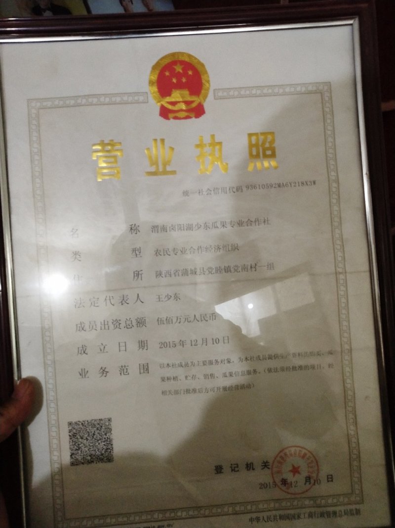 【热销】红香酥梨质优价廉采购量大优先产地直销