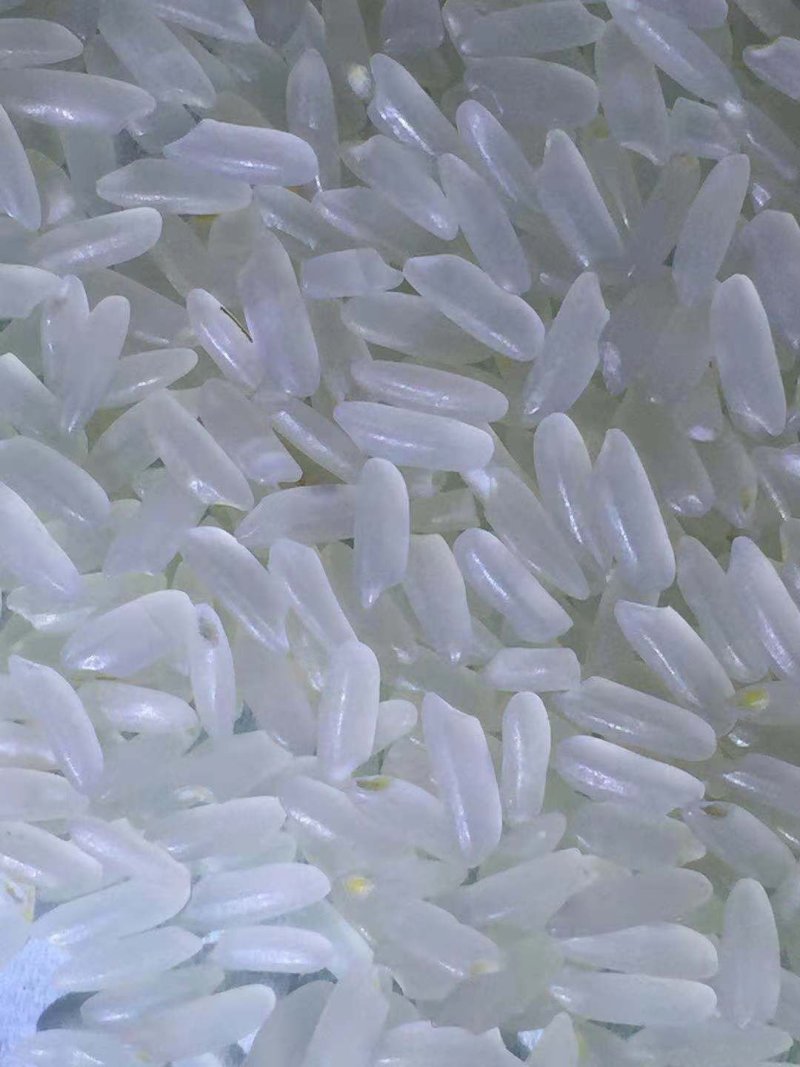 黑龙江大米！兴凯湖