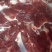 生熟驴肉