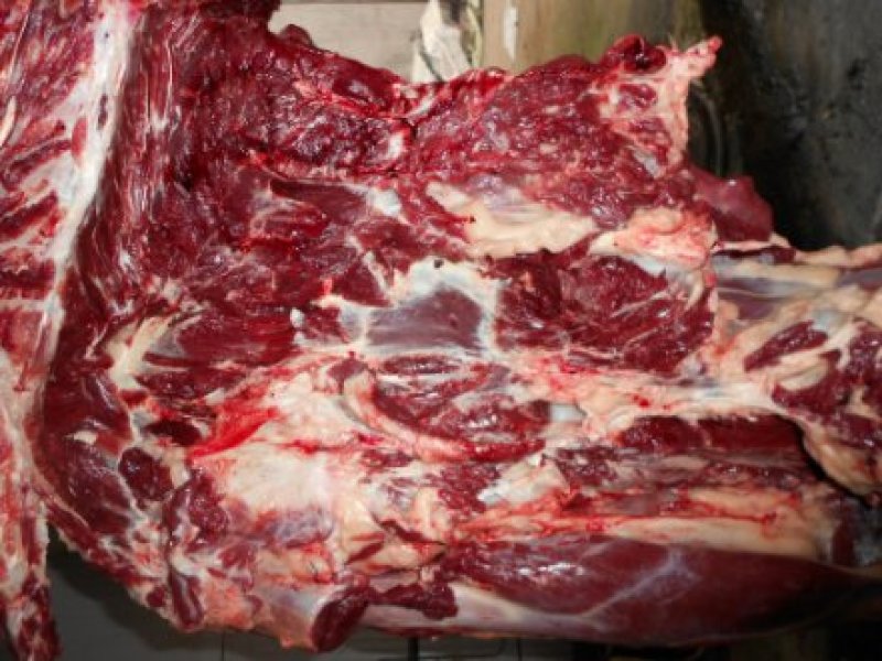 生鲜驴肉批发