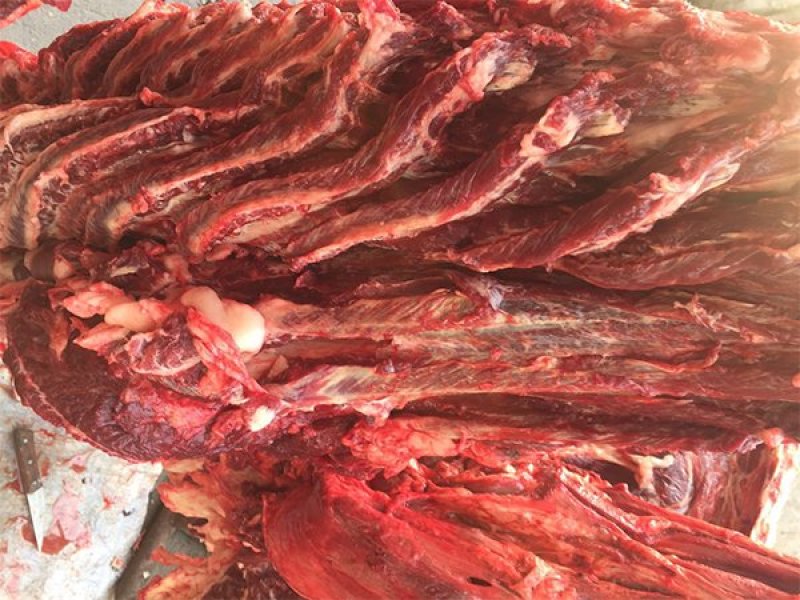 生鲜驴肉批发