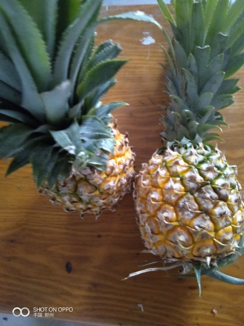 菠萝