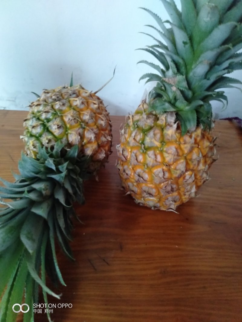 菠萝