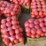 山东省临沂市费县大棚硬粉西红柿大量上市中