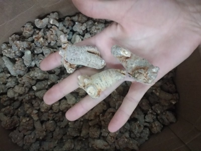三七30头滑头