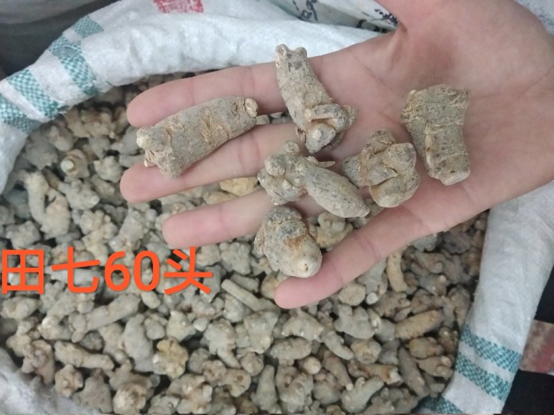 三七30头滑头