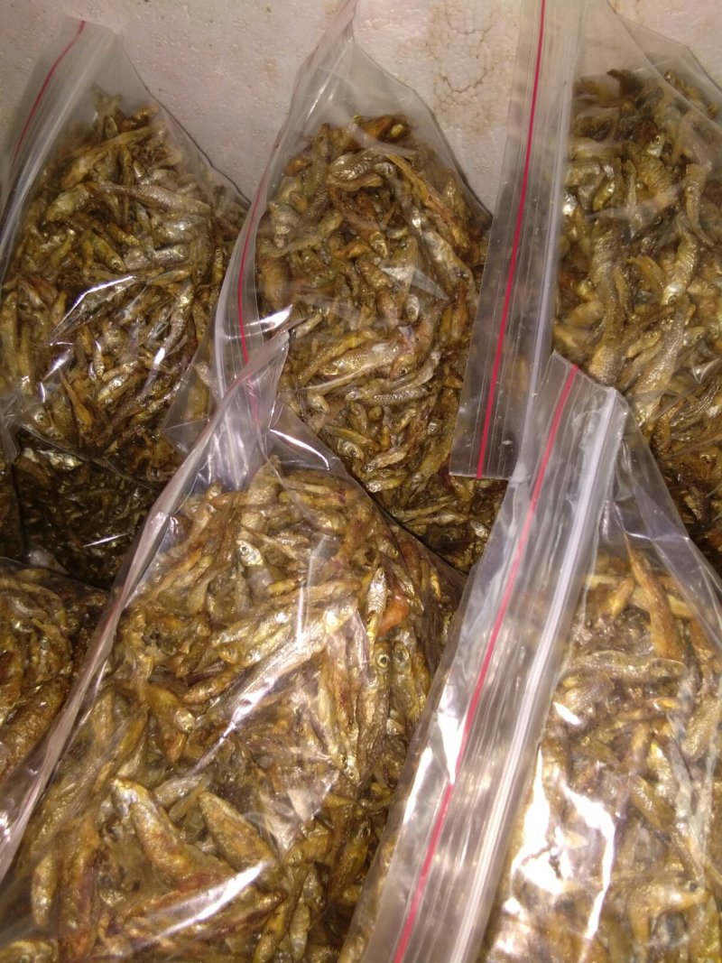 正宗醴陵火焙鱼