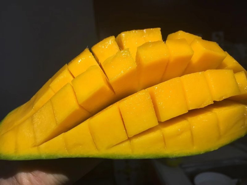 大青芒一件代发
