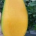 大青芒一件代发