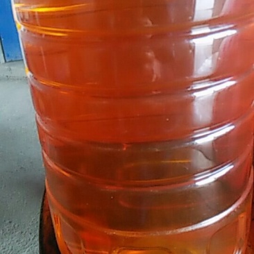正宗茶籽油（山茶油）