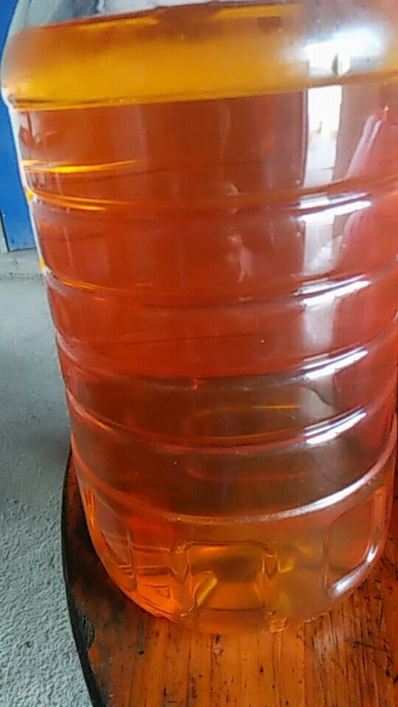 正宗茶籽油（山茶油）