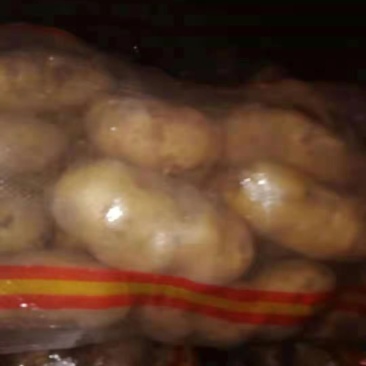226