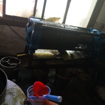 茶籽油