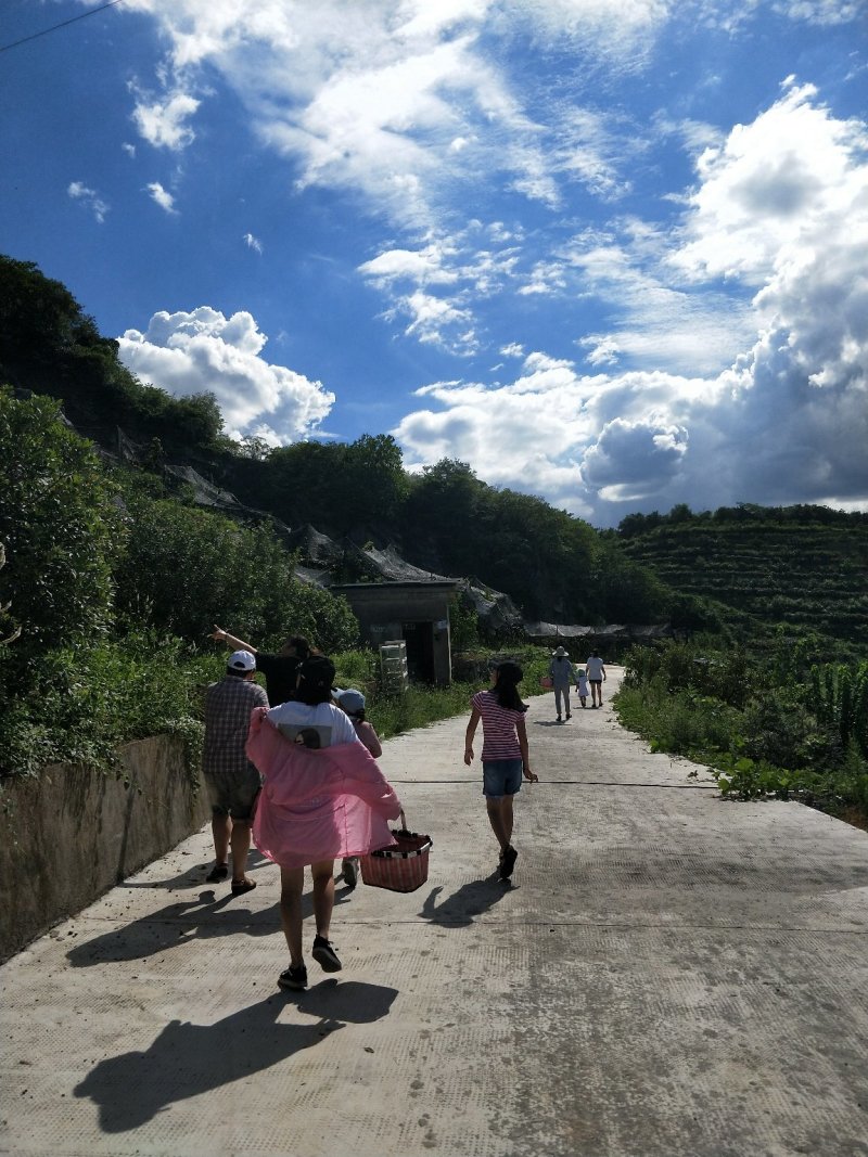 高山果园基地山庄农庄家庭农场种植养殖农家乐