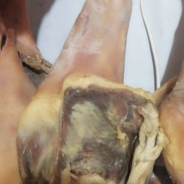 腊猪蹄火腿精品火腿