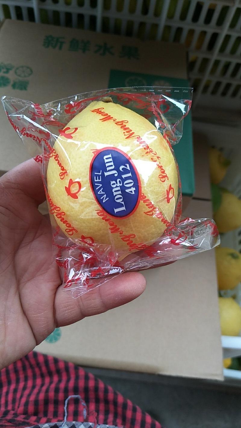 优质黄柠檬安岳柠檬尤力克品种产地直发各大市场奶茶店水果店