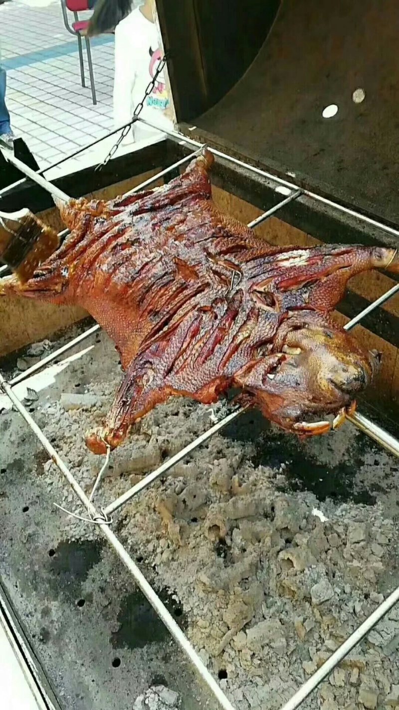 动物人参