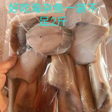 杂鱼