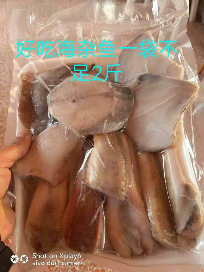 杂鱼