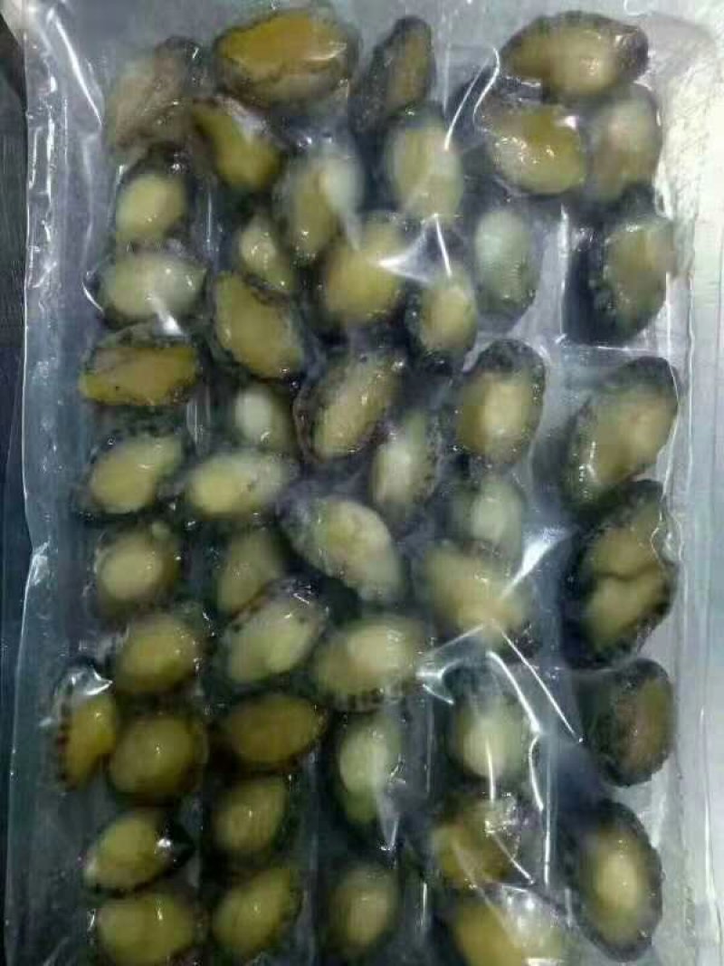 鲍鱼