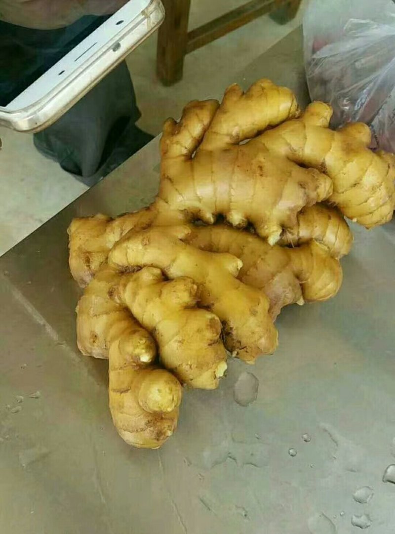 生姜批发✔产地直供✔品种齐全✔货源充足✔全国发货