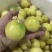 黄金百香果