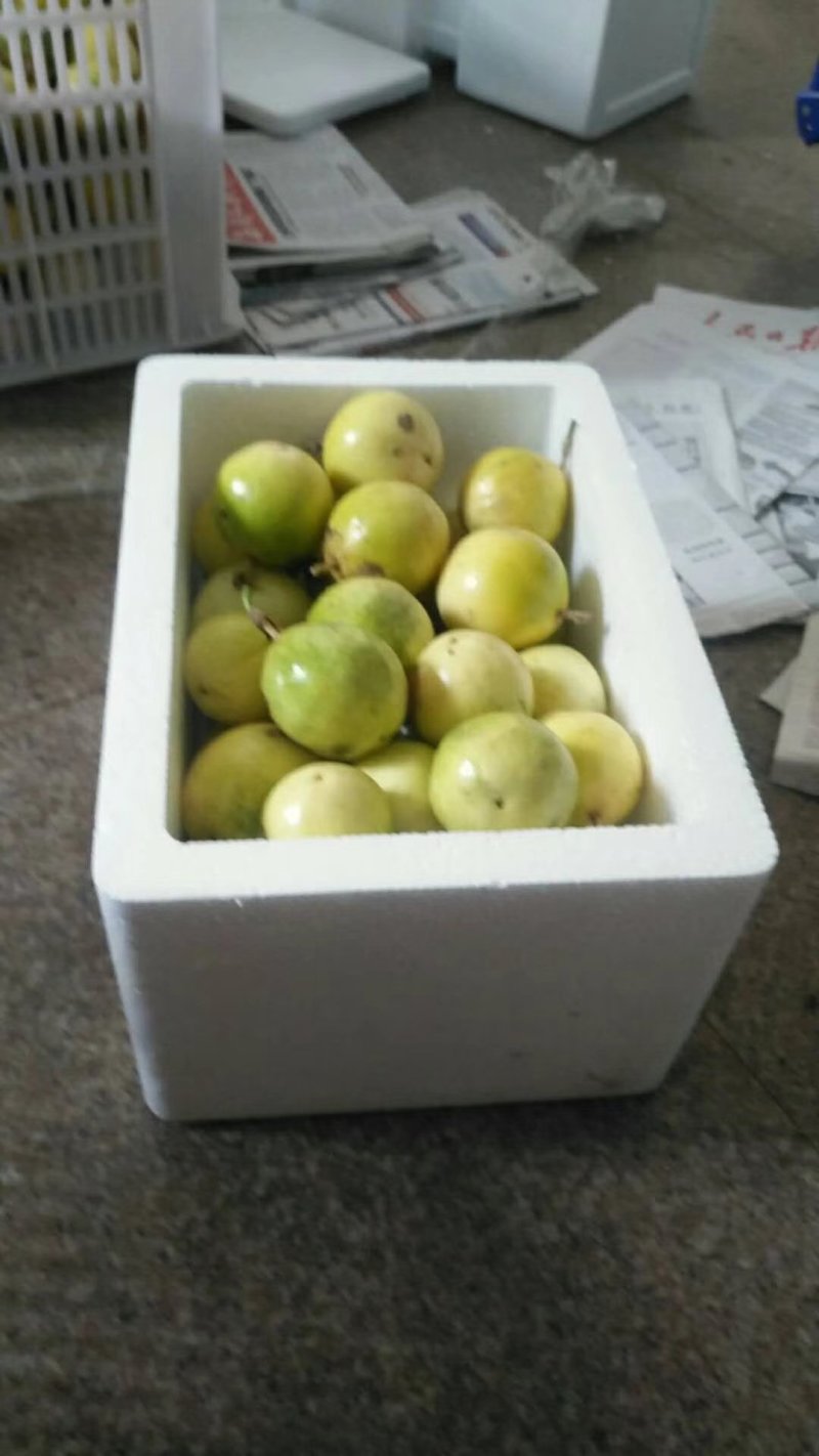 黄金百香果