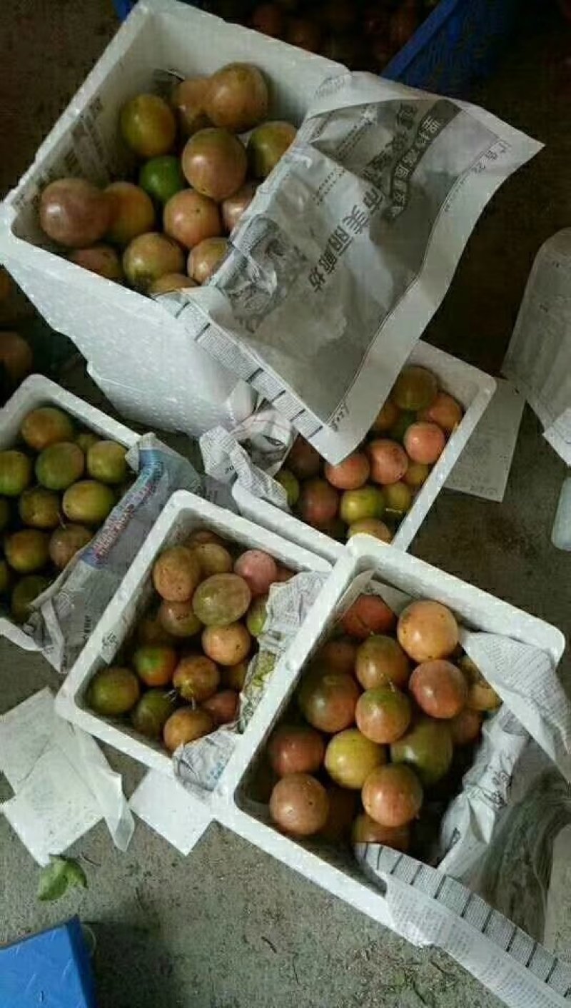 百香果