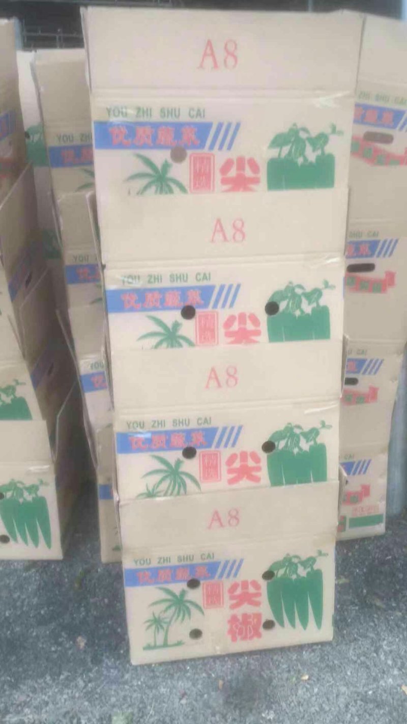 大尖椒