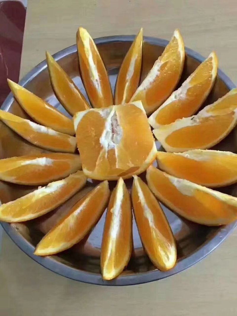赣南脐橙寻乌脐橙(甜果)通货，包园订购。