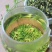 红白莲子心莲芯莲心茶莲子芯茶莲心干货