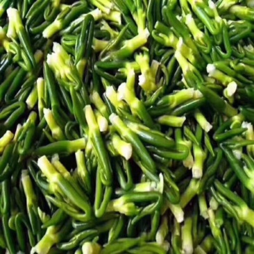 红白莲子心莲芯莲心茶莲子芯茶莲心干货