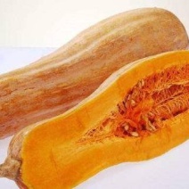 金韩密本南瓜