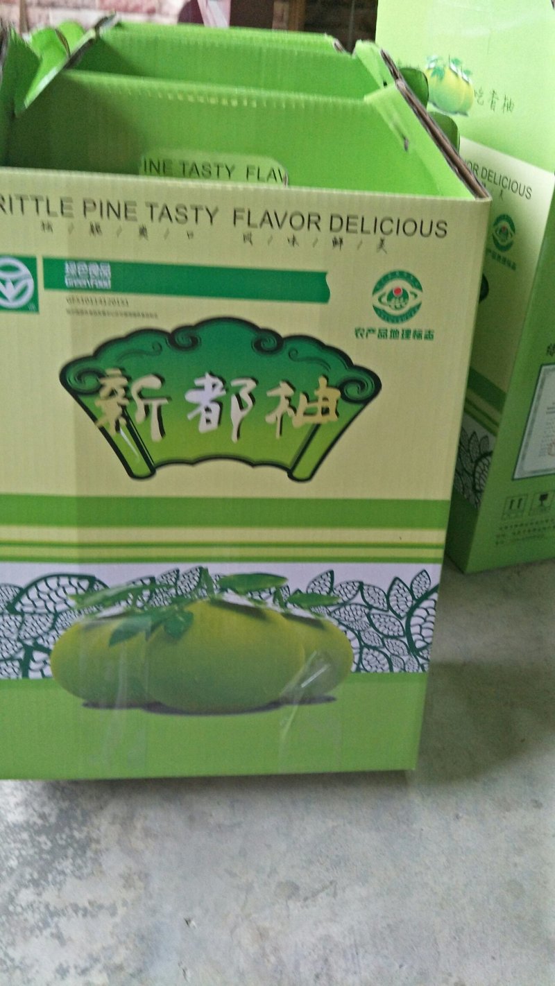 新都柚子树