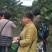 新都柚子树
