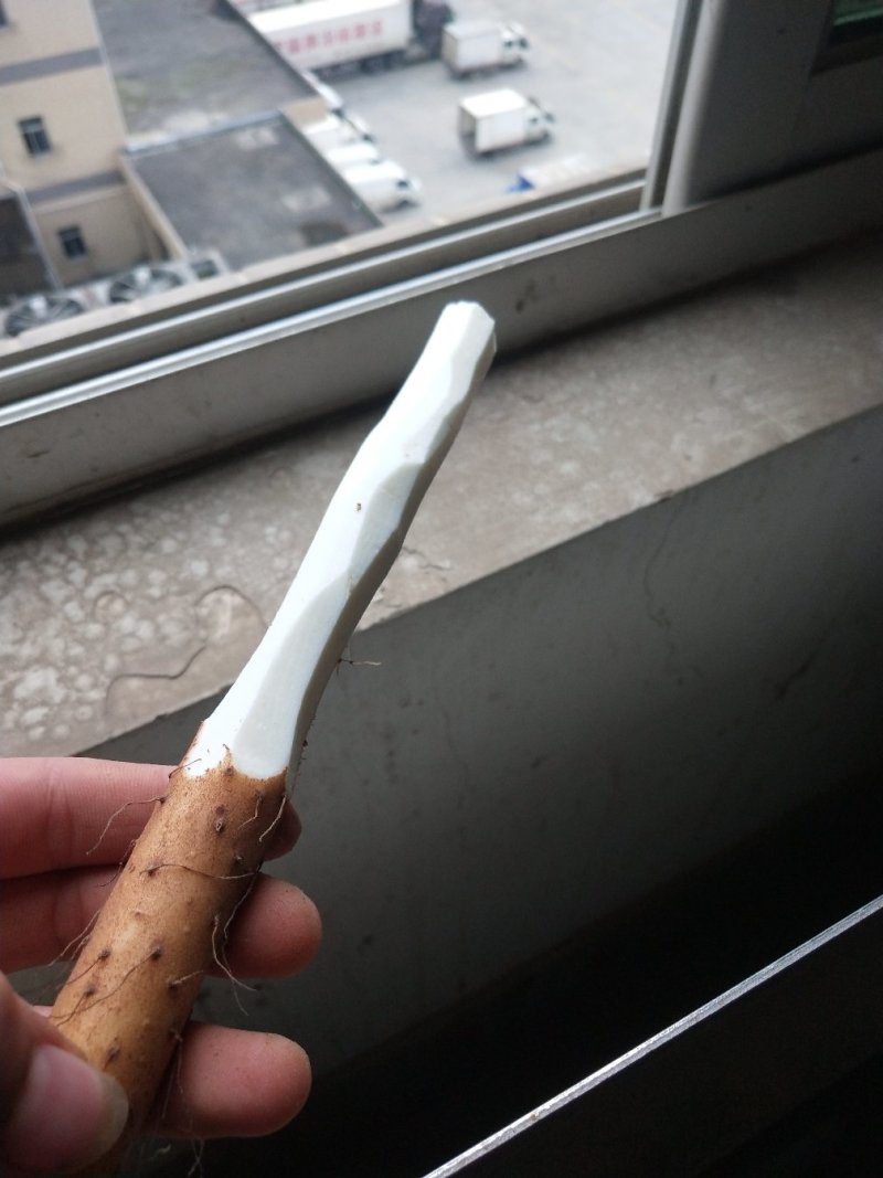 物美价廉