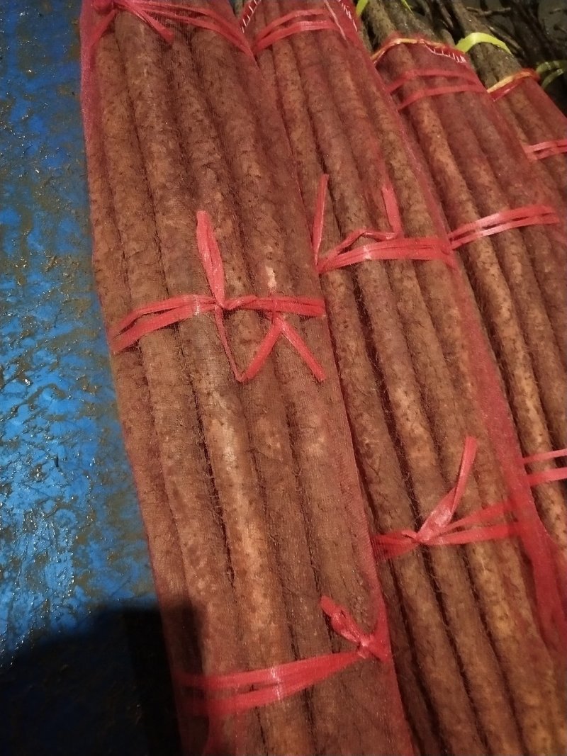 物美价廉