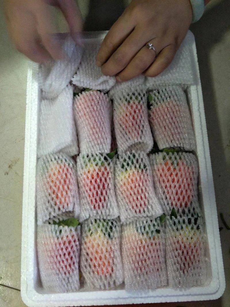 甜宝草莓15克~50克
