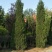 速侩