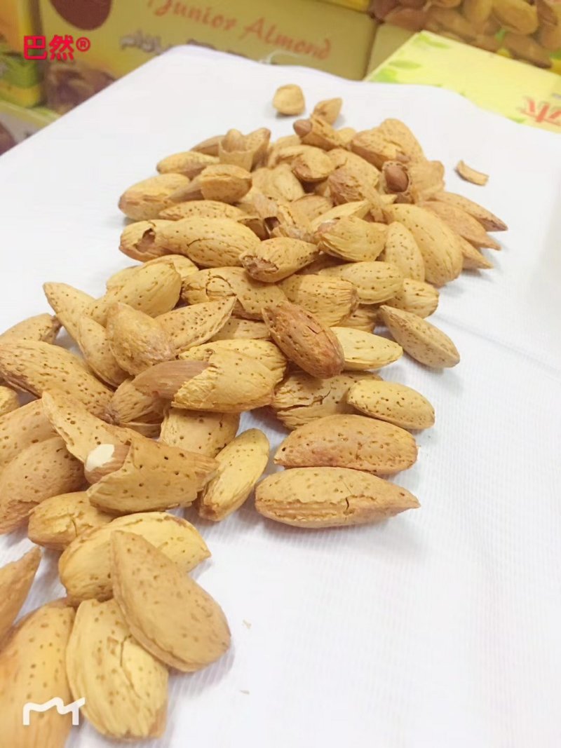 巴旦木，大量批发，大买