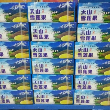 天山雪莲果