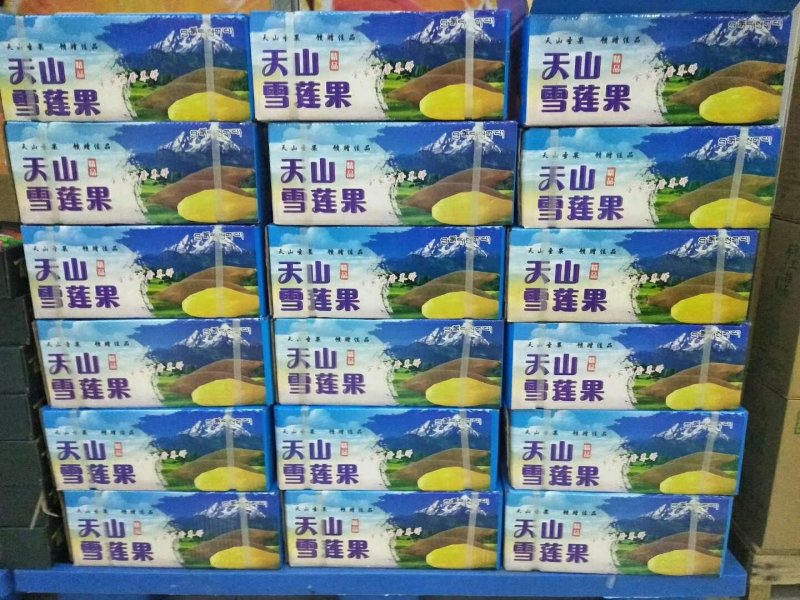 天山雪莲果